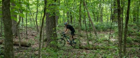 10 Best Mountain Biking Trails In Minnesota Intermountain Bikes