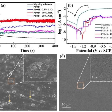 OCP A And Polarization B Curves Of The Bare Mg Alloy Pure PDMS