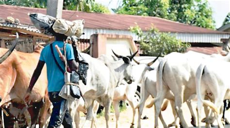 Sahara Reporters On Twitter Herdsmen Invade Ondo State Community