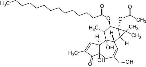 Phorbol 12-myristate 13-acetate (PMA), PKC activator (CAS 16561-29-8 ... 