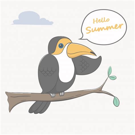 Premium Vector Toucan Bird Hello Summer Cartoon