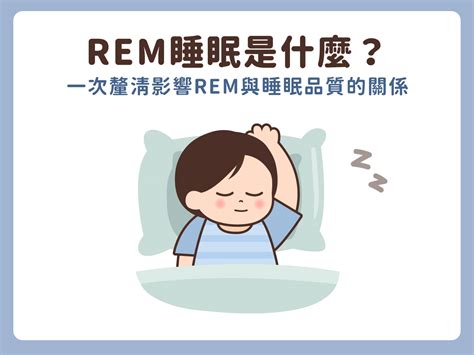 Rem睡眠是什麼？看懂rem睡眠比例與rem睡眠品質的維持方法 悠活原力yohopower