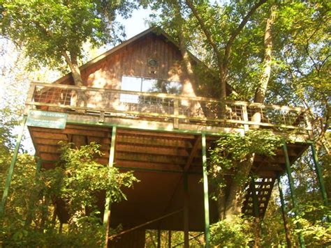 15 Best Treehouses In Missouri You Can Rent For Your Next Vacation