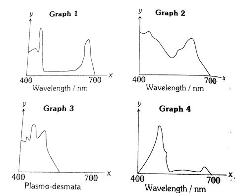 The Graph Below Represents The Absorption Spectrum Of Major Pigment Co