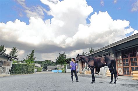 【宝塚記念】横山典騎手、悲願g1制覇目指すエタリオウを絶賛！ Umatoku 馬トク