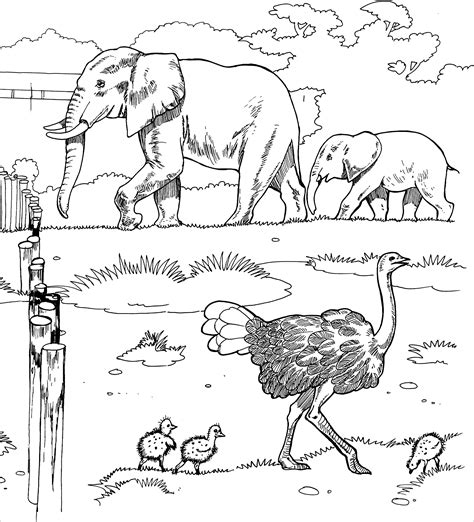 African Animals Coloring Page - ColoringBay