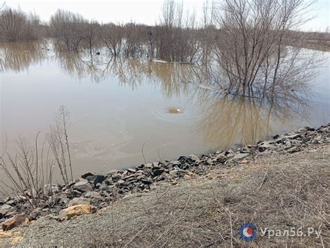 В Орске вода хлынула под дамбой в сады в районе ул. Строителей. Под ...