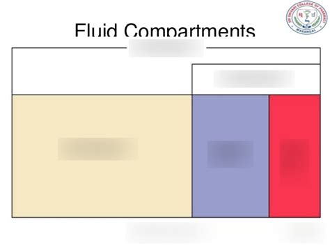 Fluid Compartments Diagram Quizlet