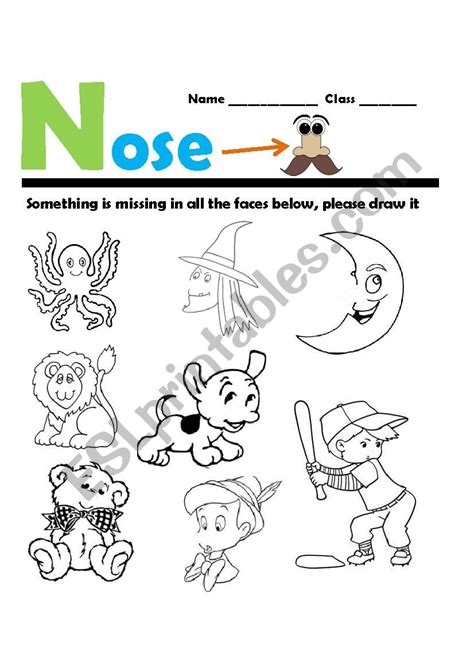 Parts Of The Nose For Grade 3