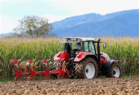 Jahr der Schöpfung Online Event zu Ernährung und Landwirtschaft