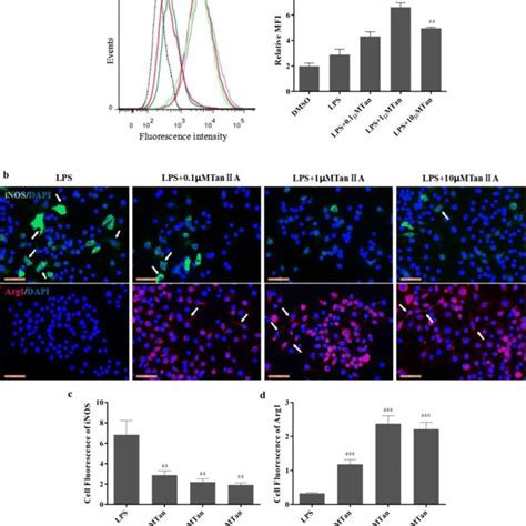 Taniia Promotes M Macrophage Polarization In Lps Stimulated Raw