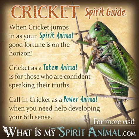 Cricket Spirit, Totem, & Power Animal Symbolism Meaning - What Is My ...