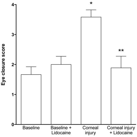 Lidocaine Attenuates The Increase In The Eye Closure Response Induced