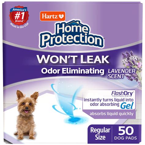 Can Immodium Help Dog Leaking Poop
