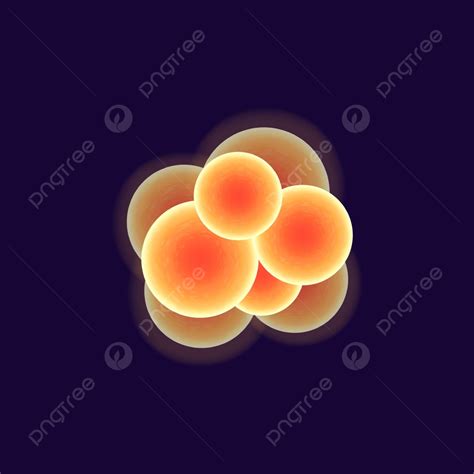 Cocci Bacteria Cell Realistic Vector Illustration Cocci Pathogen Shape