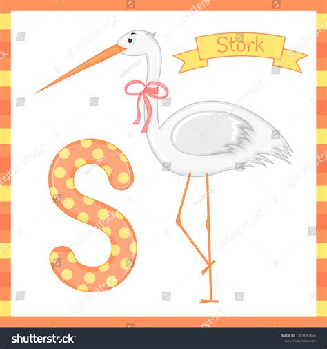 Animal Alphabet S Stork Vector Illustration Stock Vector (Royalty Free ...