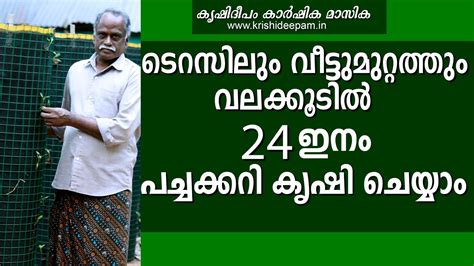 ടെറസിലും വീട്ടുമുറ്റത്തും വലക്കൂടിൽ 24 ഇനം പച്ചക്കറി കൃഷി ചെയ്യാം Vegetable Cultivation In