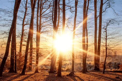 Sunlight Animated 