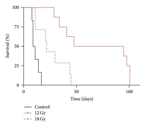 GKS Prolongs Survival In Nude Rats Harboring GBM Xenografts Shown Are