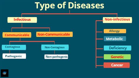 Viral Bacterial Human Disease And Health For Exams