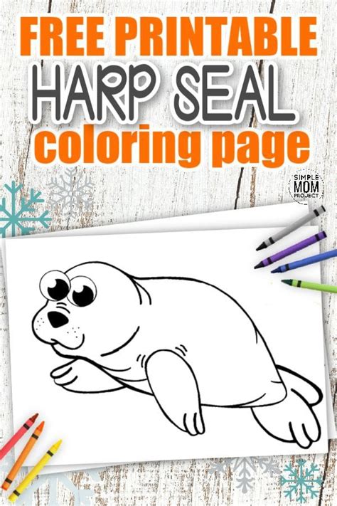 Harp Seal Coloring Page