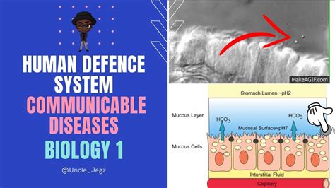 Human Defence Systems Communicable Disease GCSE 9 1 Biology Paper