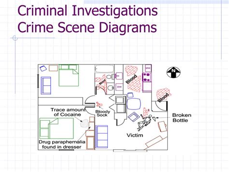 Activity Diagram For Crime Management System Crime Managemen