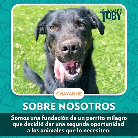 Fundaci N Toby On Twitter