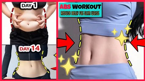 Top Exercises Full Body Workout Time Per Day No Equipment No