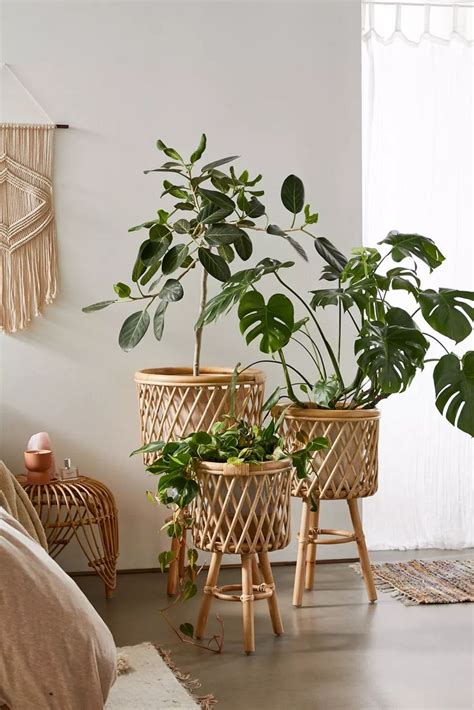 Rattan Standing Planter In Planter Stand Urban Outfitters Home