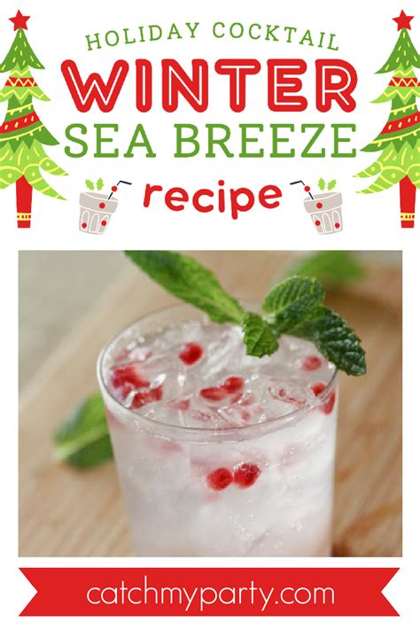 Make A Winter Sea Breeze Holiday Cocktail Catch My Party