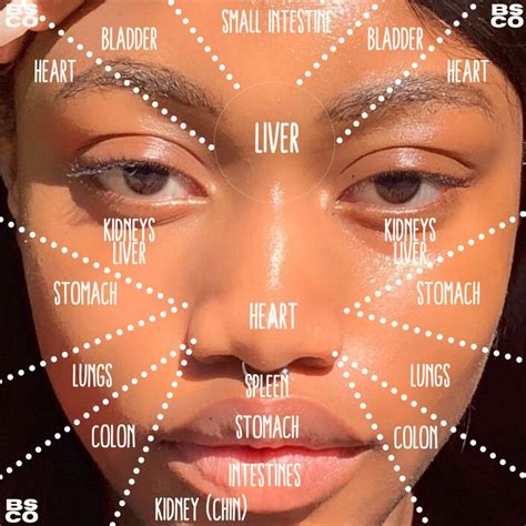 Facial Acne Map Acne Face Chart Acne Mapping Body Acne Map