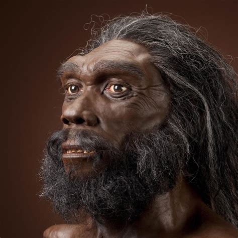 Homo heidelbergensis | The Smithsonian Institution's Human Origins Program