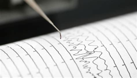 Scossa Di Terremoto Di Magnitudo 3 5 Nel Mar Tirreno Al Largo Delle