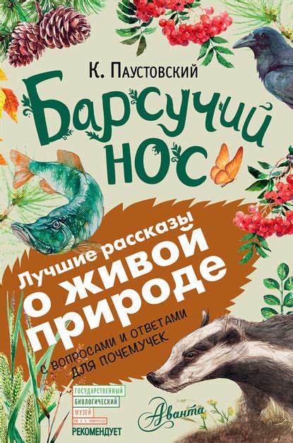 Читать бесплатно электронную книгу Барсучий нос Константин Георгиевич ...