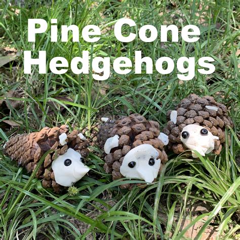 What I Live For: Pine Cone Hedgehogs