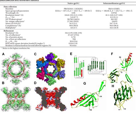 Table From Crystal Structure Of Bacteriophage Spp Distal Tail