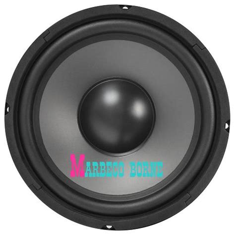 Disco PA Apparatuur 10 Inch Hi Fi Woofer Met PP Conus