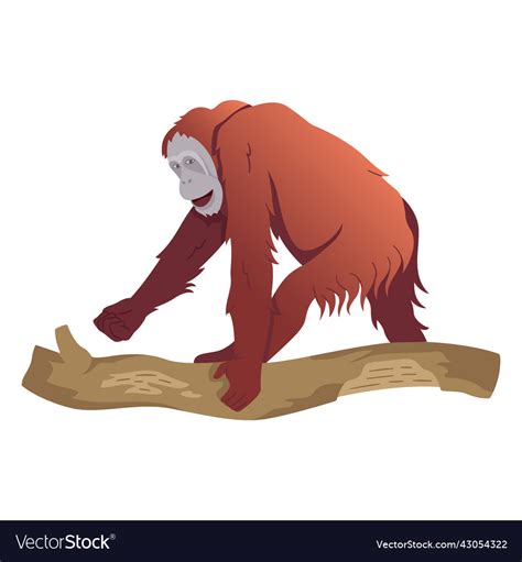 Orangutan monkey Royalty Free Vector Image - VectorStock