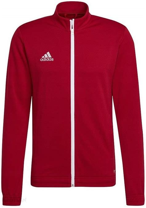 Bluza Adidas M Ska Treningowa Entrada Roz M Ceny I Opinie Ceneo Pl