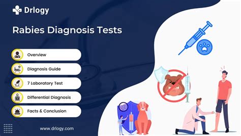 7 Rapid Rabies Diagnostic Test For Effective Treatment Drlogy