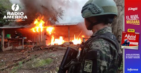 M S De Mil Arbustos De Coca Son Destruidos Por Autoridades Hondure As