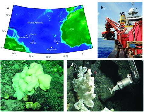 A Map Of The Deep Sea Sampling Areas Starred From The Jc094