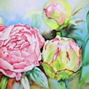 Pink Peonies Painting By Jelly Starnes Fine Art America