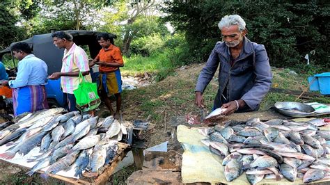 Wow Tilapia Fish Cutting Skills Best Fish Cutting In Sri Lankan