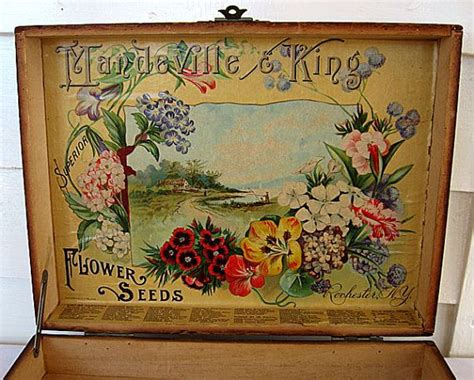 Victorian 1890s Vintage Mandeville And King Flower Seeds Etsy Vintage Seed Packets Seed Box