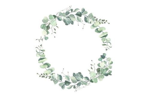 Clip Art Watercolor Eucalyptus Wreath Bundle Greenery Clipart Clipart