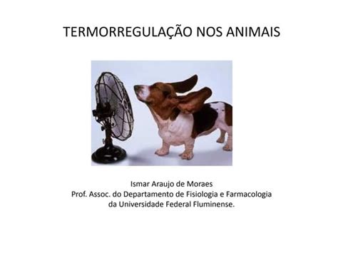 Termorregulação Nos Animais Tipos E Mecanismos Ppt