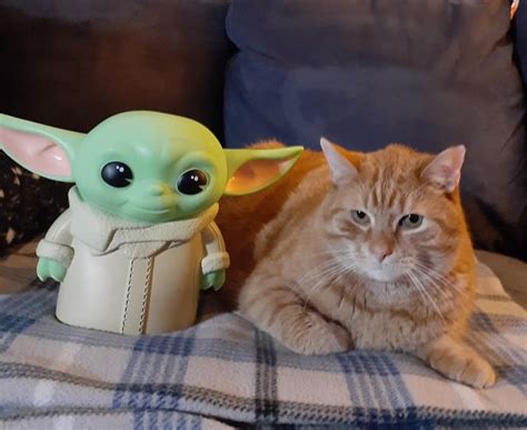 Uh oh. : BabyYoda