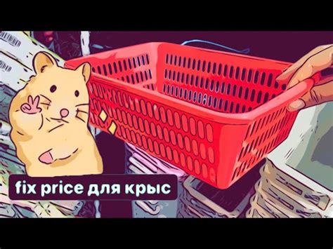 Полка для крыс из фикс прайса - 90 фото